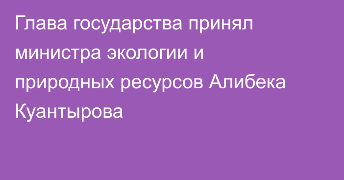 Глава государства принял министра экологии и природных ресурсов Алибека Куантырова