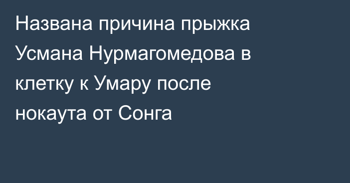 Названа причина прыжка Усмана Нурмагомедова в клетку к Умару после нокаута от Сонга