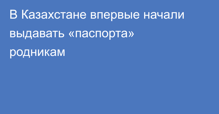 В Казахстане впервые начали выдавать «паспорта» родникам