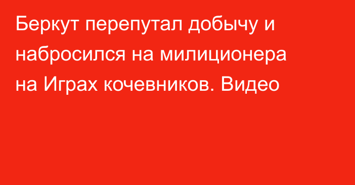 Беркут перепутал добычу и набросился на милиционера на Играх кочевников. Видео