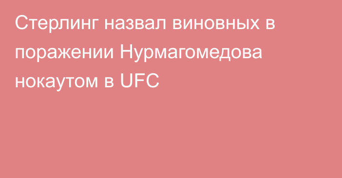 Стерлинг назвал виновных в поражении Нурмагомедова нокаутом в UFC