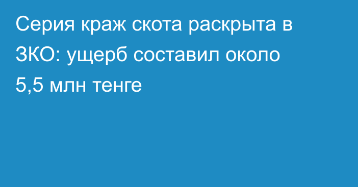 Серия краж скота раскрыта в ЗКО: ущерб составил около 5,5 млн тенге