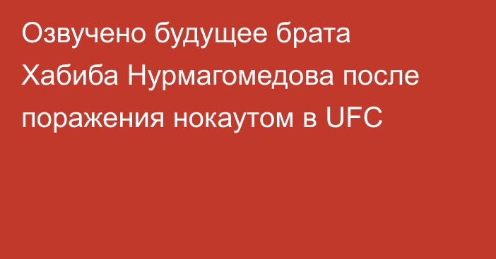 Озвучено будущее брата Хабиба Нурмагомедова после поражения нокаутом в UFC