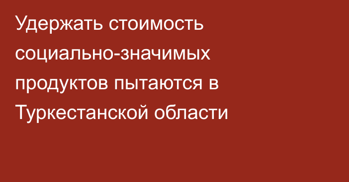 Удержать стоимость социально-значимых продуктов пытаются в Туркестанской области