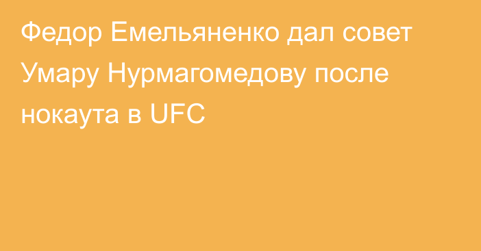 Федор Емельяненко дал совет Умару Нурмагомедову после нокаута в UFC