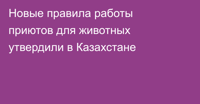 Новые правила работы приютов для животных утвердили в Казахстане