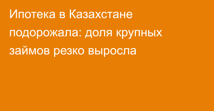 Ипотека в Казахстане подорожала: доля крупных займов резко выросла
