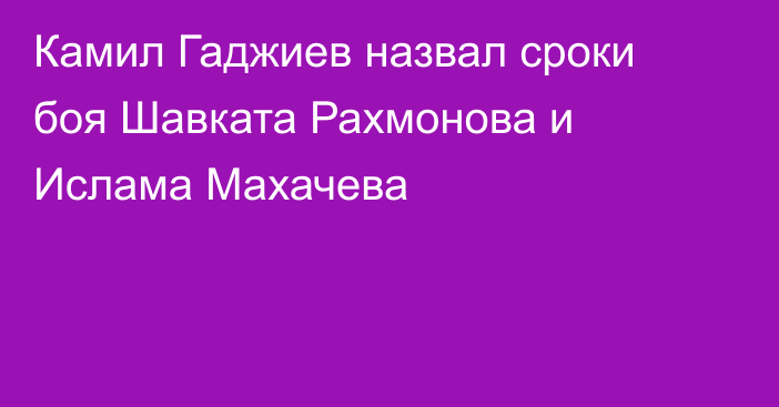 Камил Гаджиев назвал сроки боя Шавката Рахмонова и Ислама Махачева