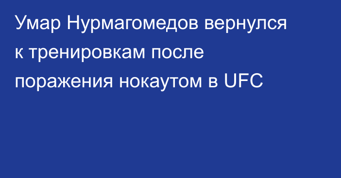 Умар Нурмагомедов вернулся к тренировкам после поражения нокаутом в UFC