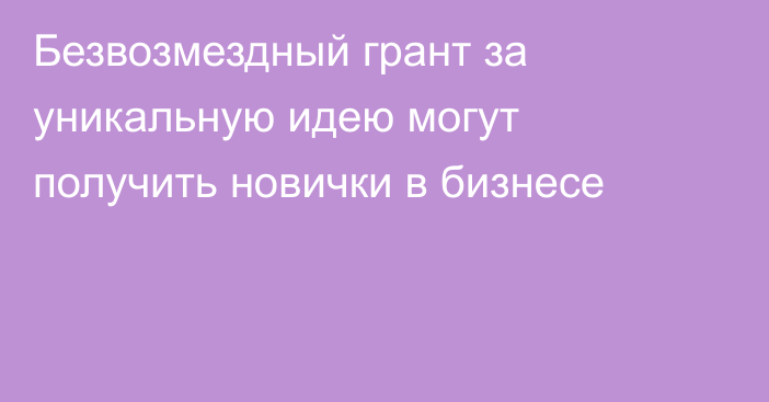 Безвозмездный грант за уникальную идею могут получить новички в бизнесе