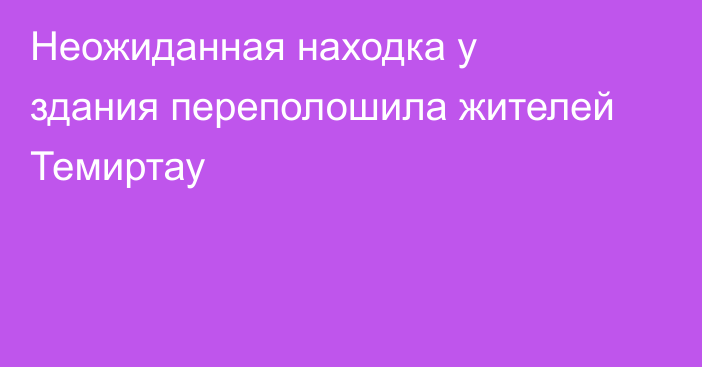Неожиданная находка у здания переполошила жителей Темиртау