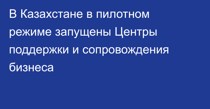 В Казахстане в пилотном режиме запущены Центры поддержки и сопровождения бизнеса