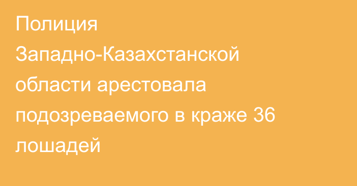 Полиция Западно-Казахстанской области арестовала подозреваемого в краже 36 лошадей