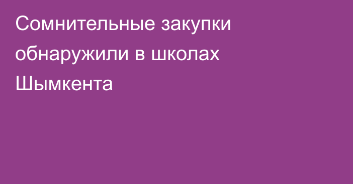 Сомнительные закупки обнаружили в школах Шымкента