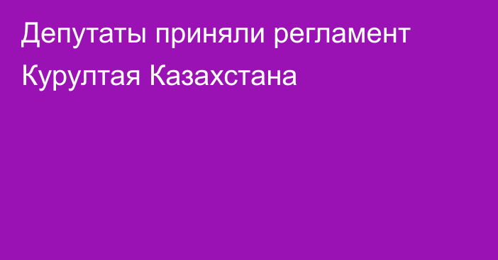 Депутаты приняли регламент Курултая Казахстана